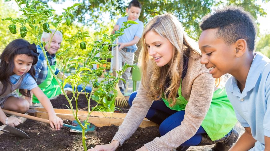 Children planting seedlings together in a sunny garden bed