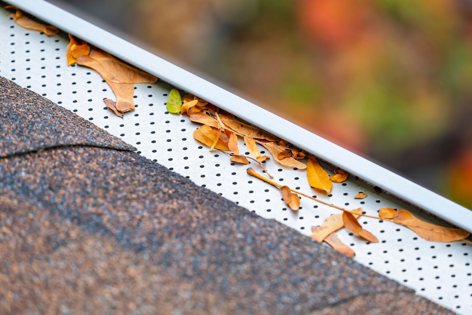 A close up of a gutter with leaves on it on a roof.