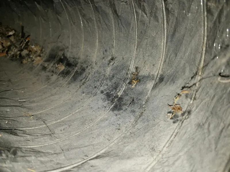 A close up of a dirty duct with a lot of dust on it.