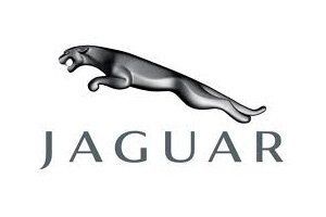jaguard