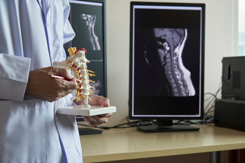 healthcare provider reviewing patient back imaging