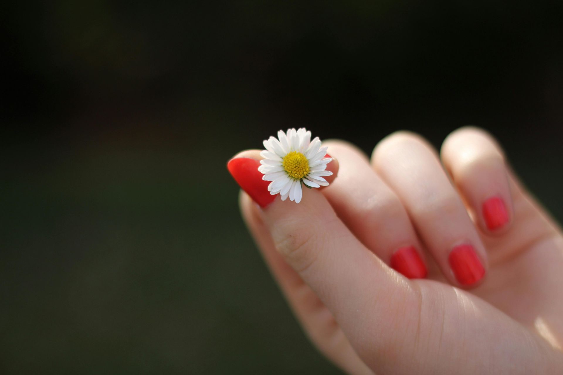 CarlaRose Nagelstudio