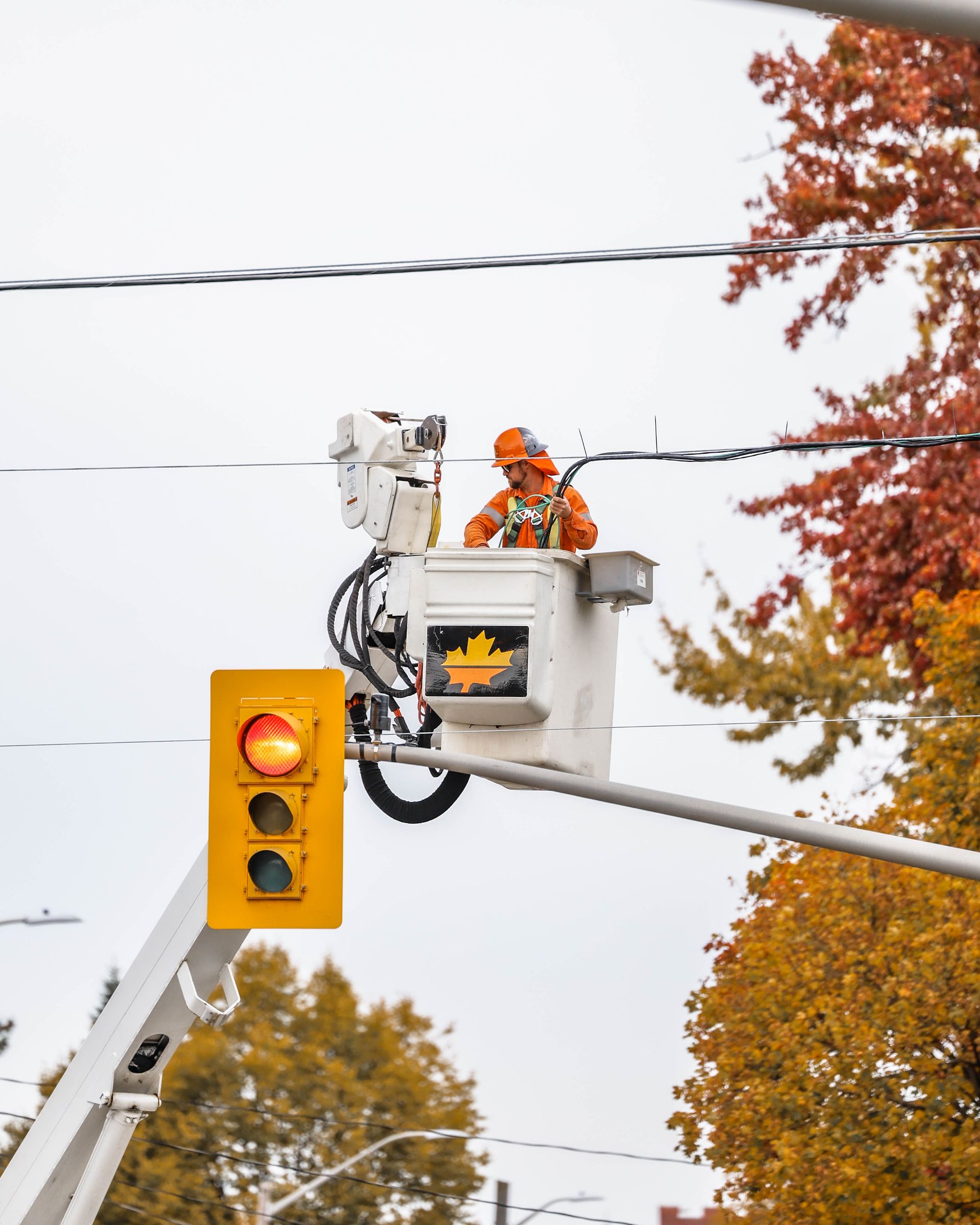 Worker in orange uniform, in a lift bucket, repairing a traffic light. Autumn trees in the background.