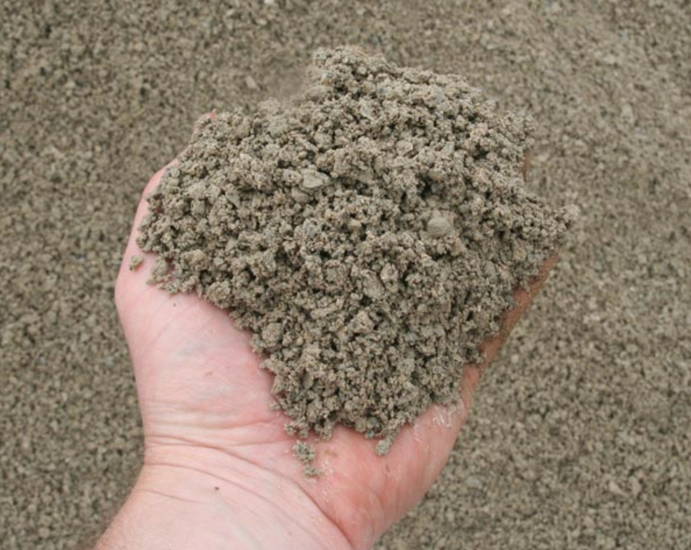 a person is holding a pile of sand in their hand .