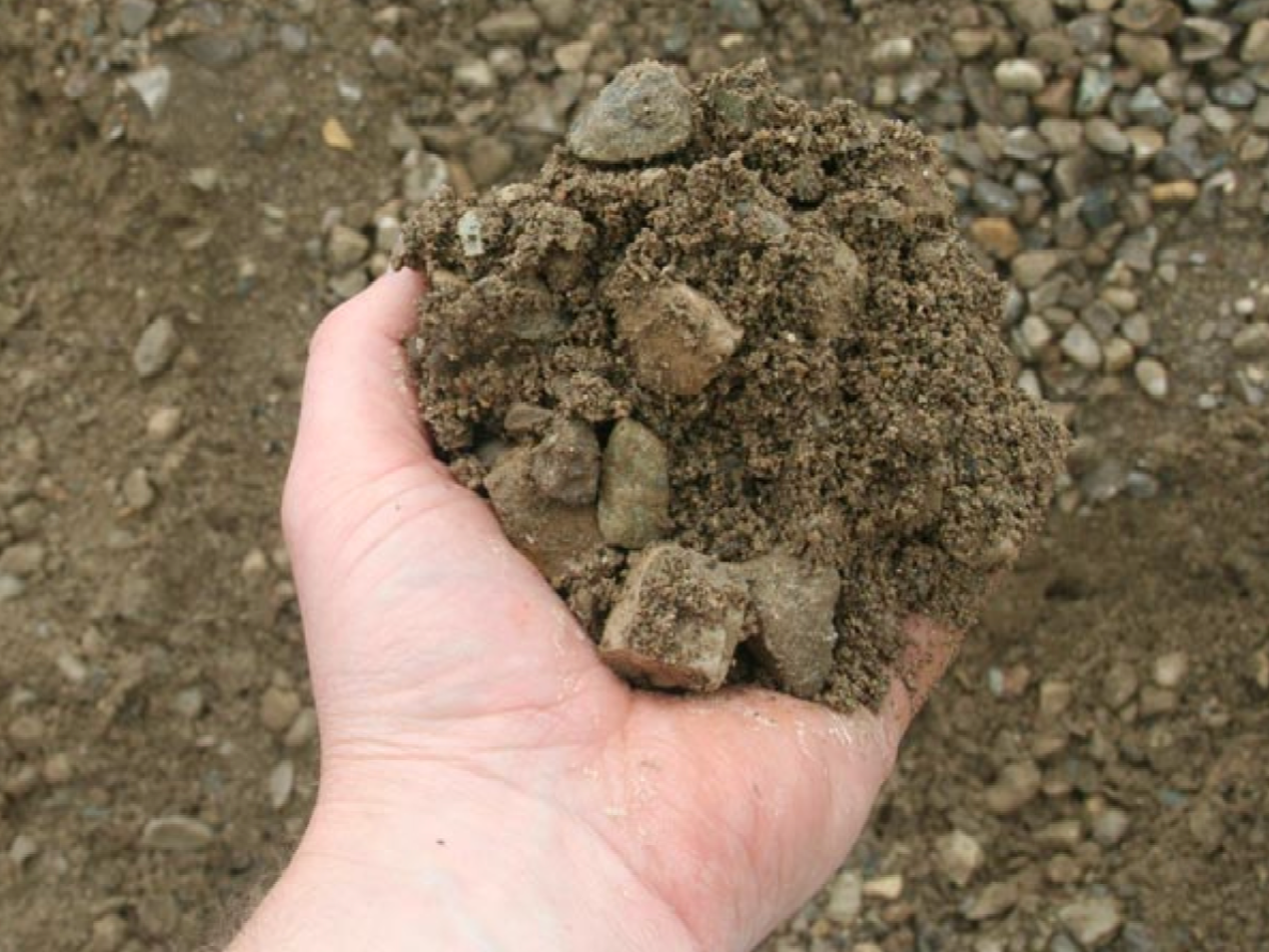 a person is holding a pile of dirt and rocks in their hand .