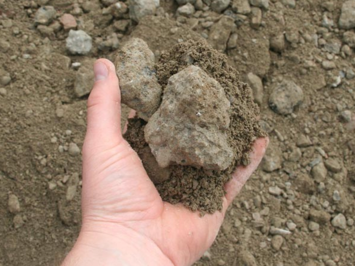 a person is holding a pile of dirt in their hand .