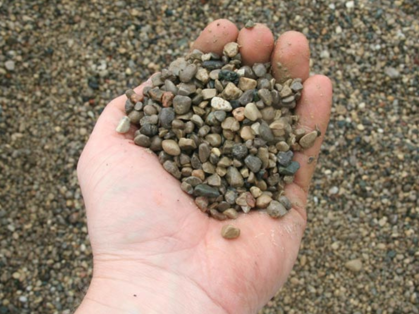 a person is holding a pile of rocks in their hand .