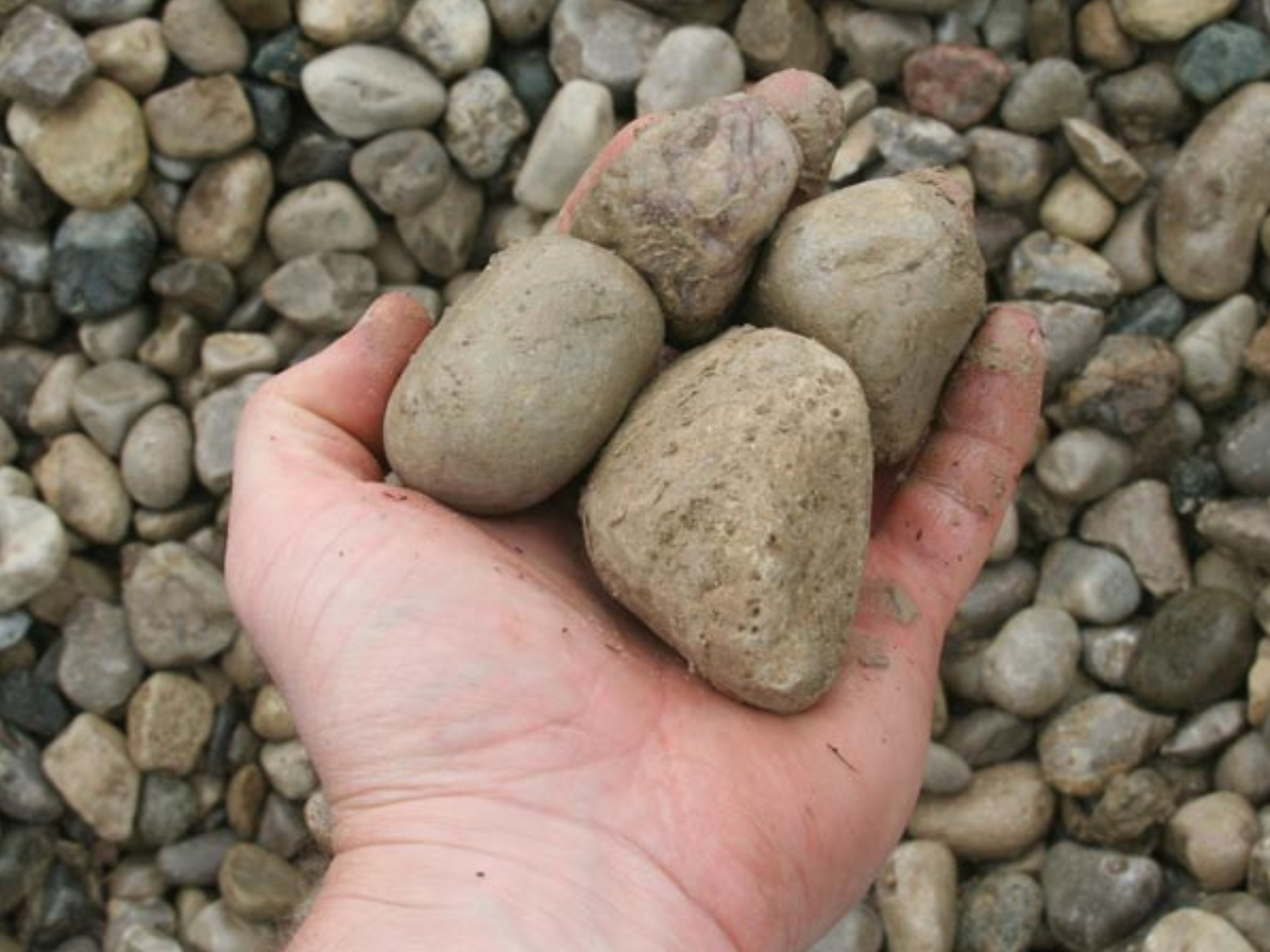 a person is holding a pile of rocks in their hand .