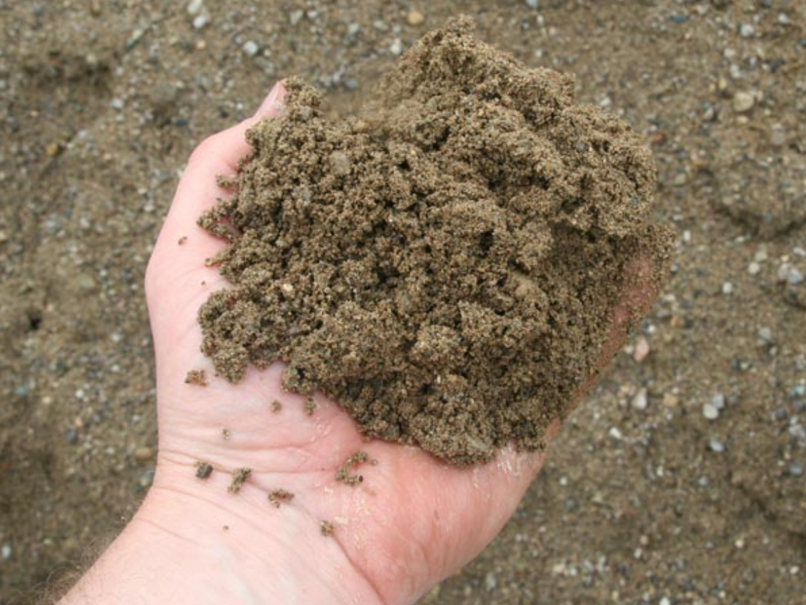 a person is holding a pile of dirt in their hand .