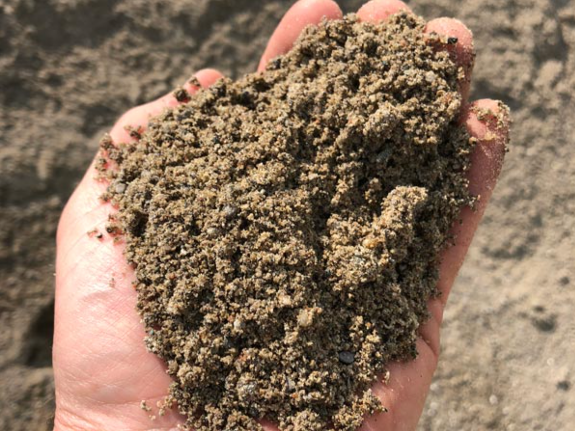 a person is holding a pile of sand in their hand .