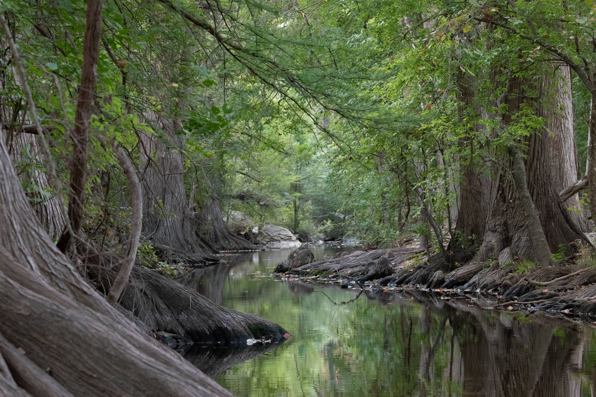 Cibolo Creek in Boerne, Texas.
