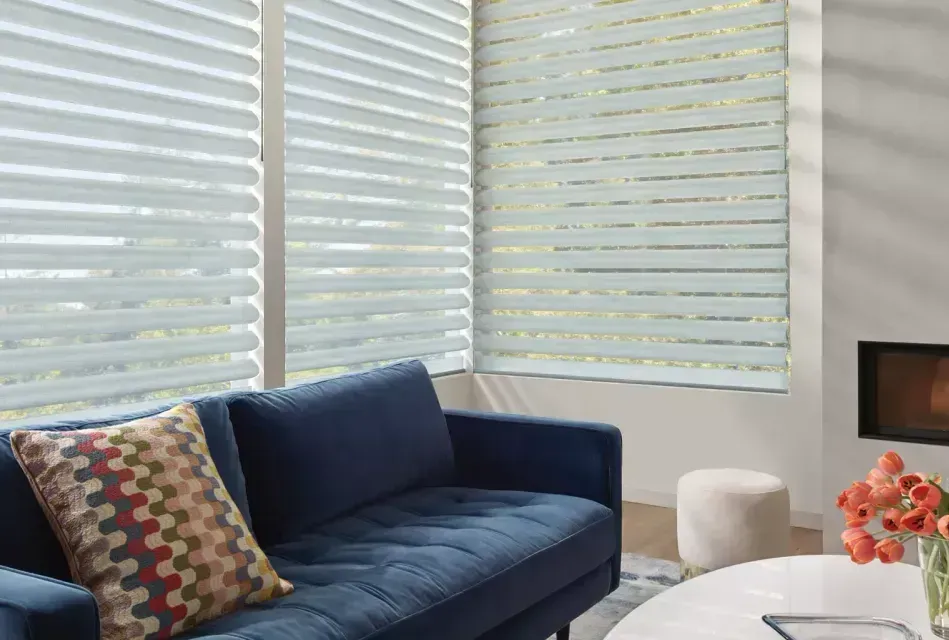 Hunter Douglas Pirouette® Window Shadings, Soft Shadings, sheer shadings near Boerne and San Antonio, Texas (TX)