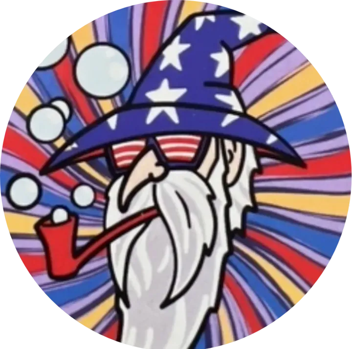 Window Wizard USA logo