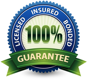 Blue and green “100% guarantee” seal with “licensed, insured, bonded” text and ribbon banner