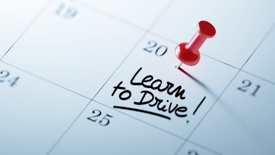 Learn To Drive