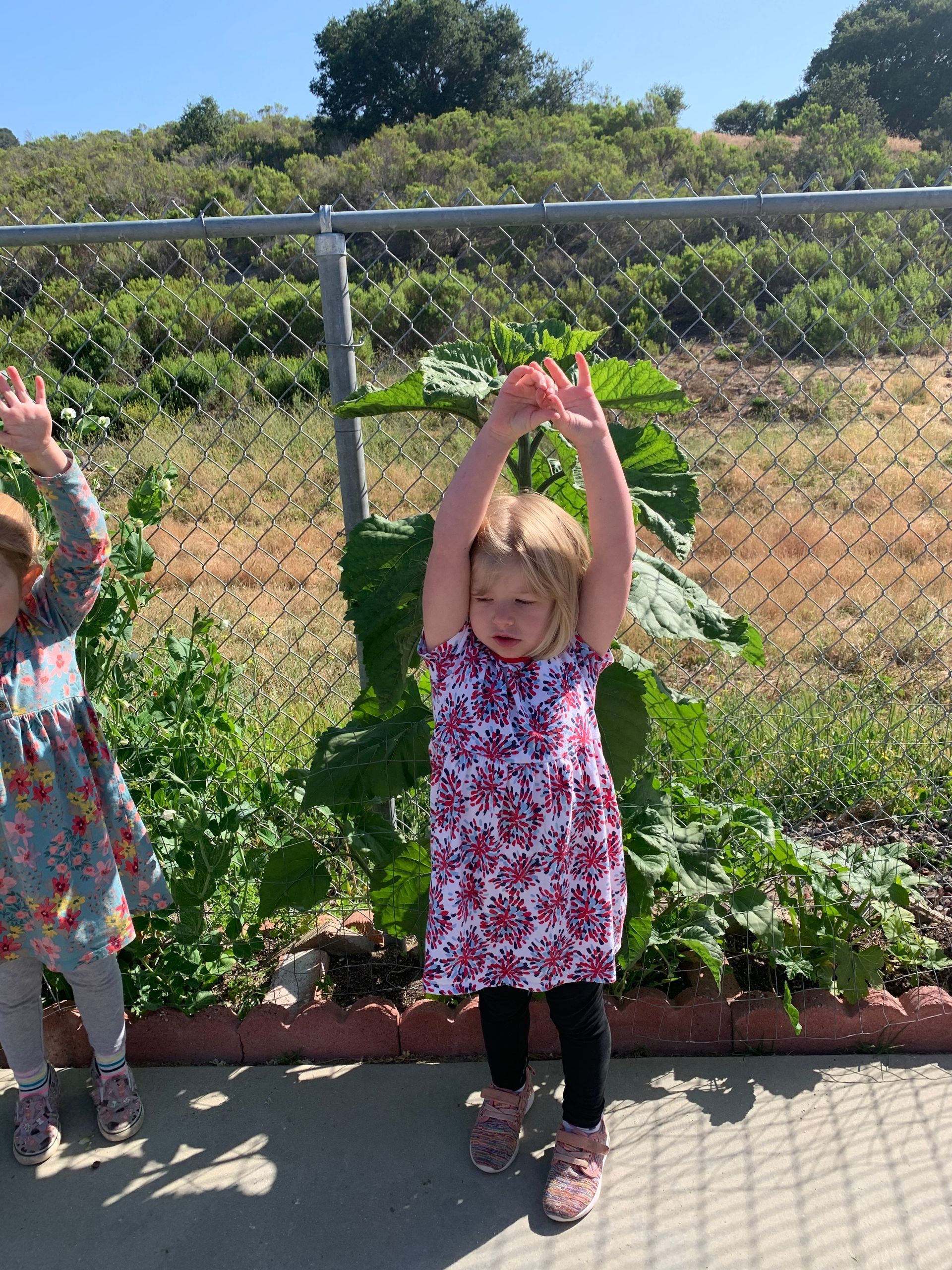 Two little girls are standing next to each other in front of a chain link fence.