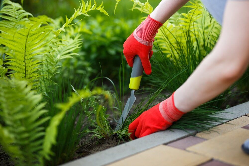 Person Wearing Red Gloves, Gardening with Trowel Near Green Plants and Stone Path — Lads Lawns & Gardens in Smithfield, QLD