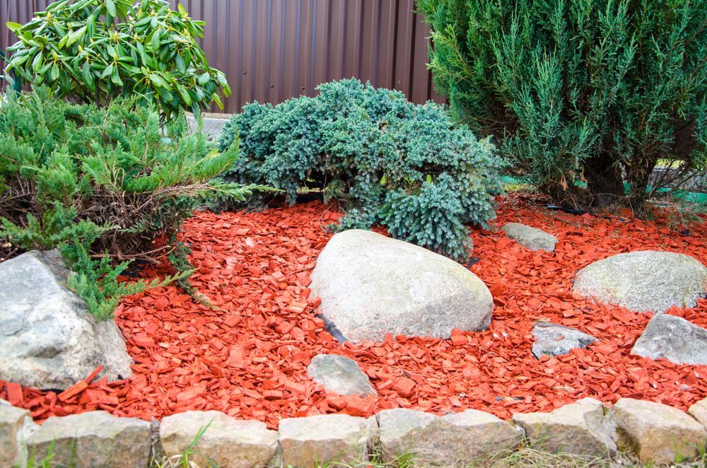 Red Mulch and Rocks Surround Green Shrubs in a Garden Bed — Lads Lawns & Gardens in Bentley Park, QLD