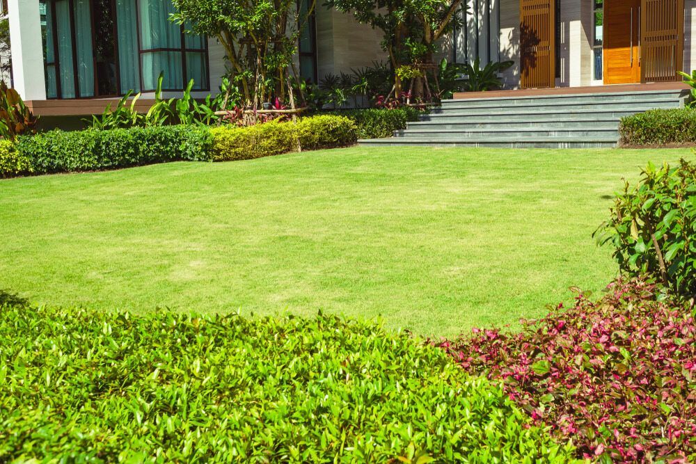Green Lawn with Landscaped Beds in Front of A Modern Home — Lads Lawns & Gardens in Smithfield, QLD