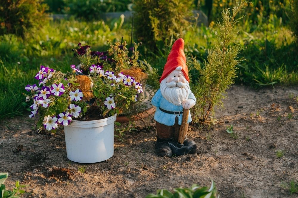 Garden Gnome Next to A White Bucket of Purple and White Flowers in A Sunny Garden — Lads Lawns & Gardens in Mossman, QLD