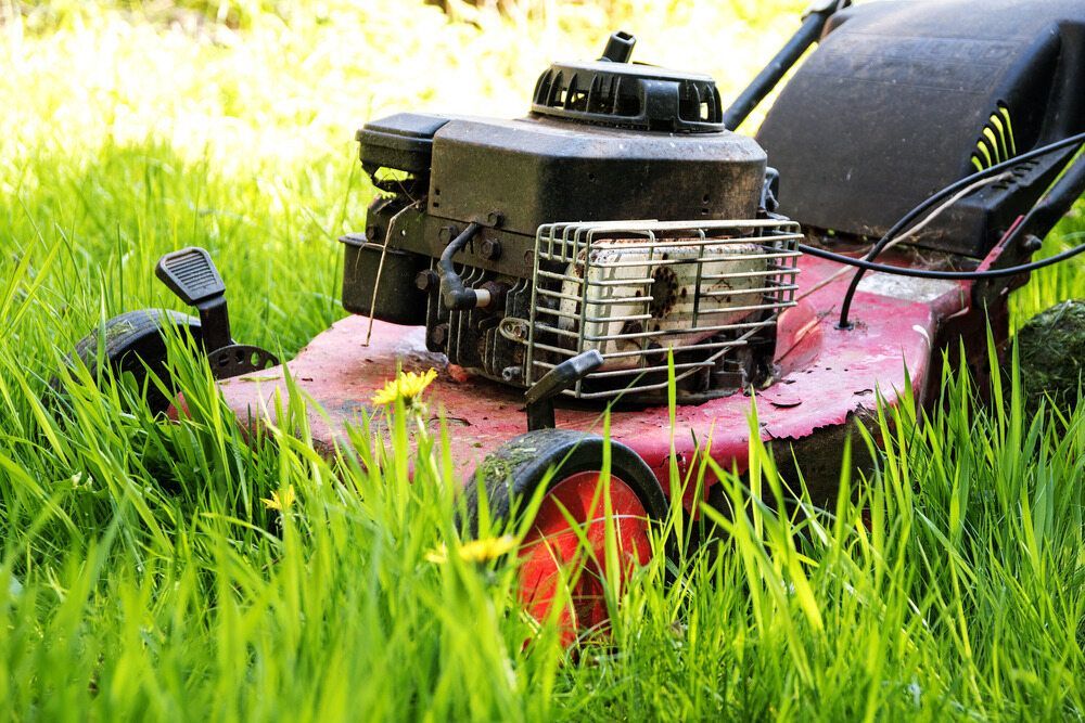 Red Lawnmower in Tall Green Grass, Engine Visible, Ready for Mowing — Lads Lawns & Gardens in Smithfield, QLD