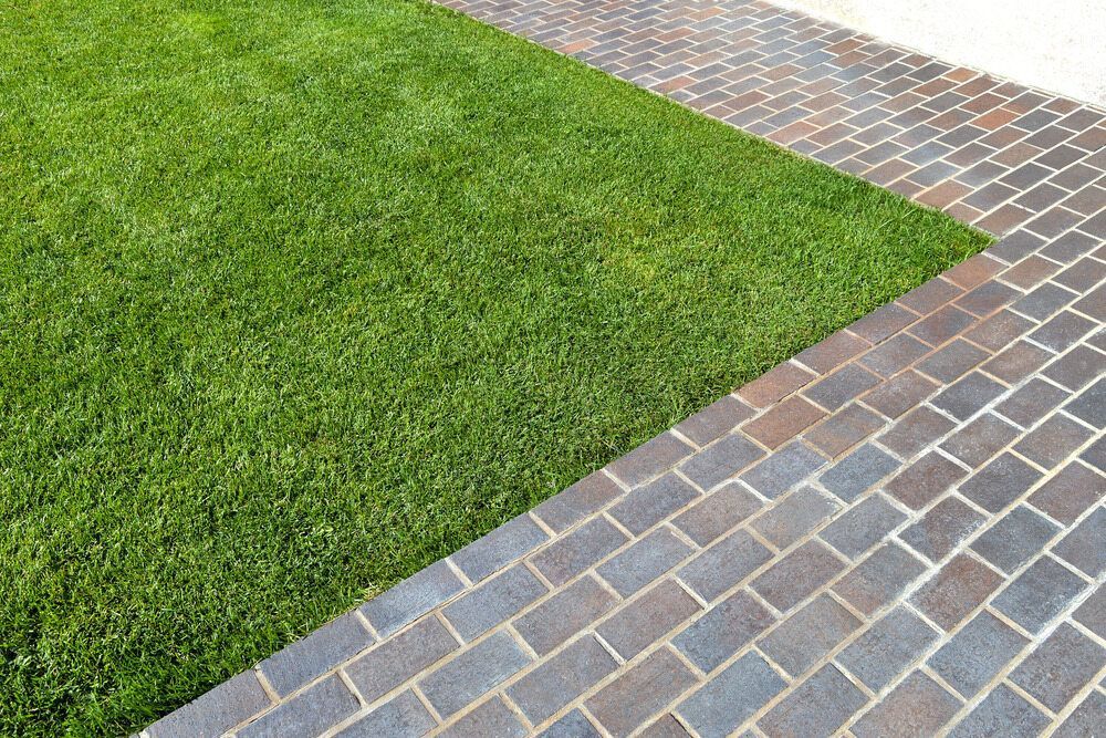 Green Lawn Adjacent to a Brick Paved Walkway — Lads Lawns & Gardens in Bentley Park, QLD