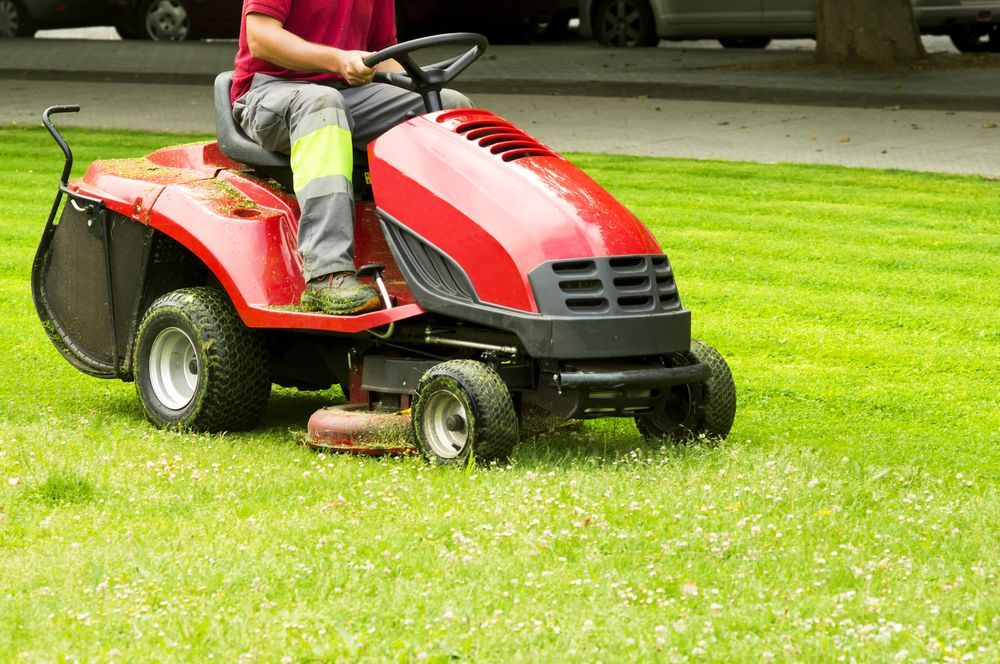 Person on Red Riding Lawn Mower Cutting Green Grass — Lads Lawns & Gardens in Bentley Park, QLD