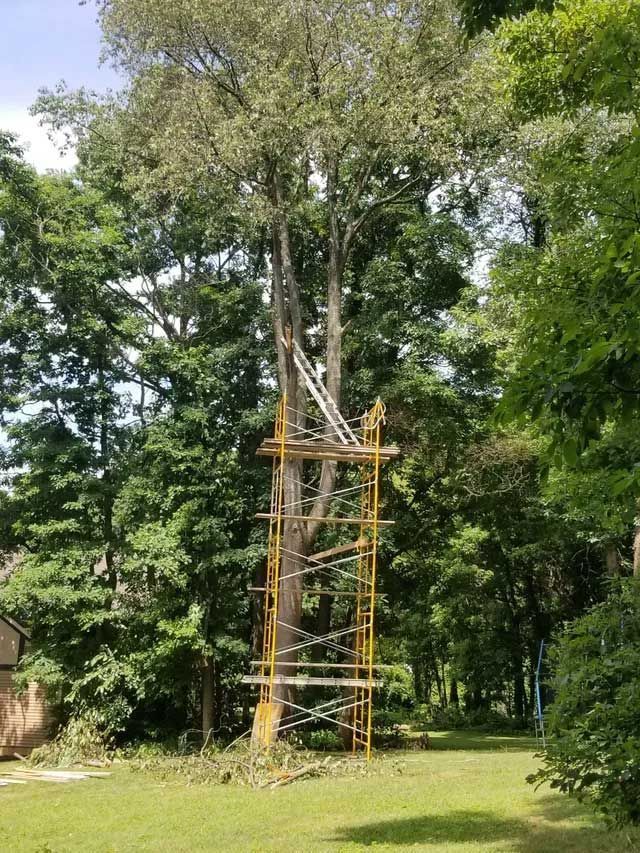 Cutting Down — Niles, MI — American Tree Care Cutting Down — Niles, MI — American Tree Care