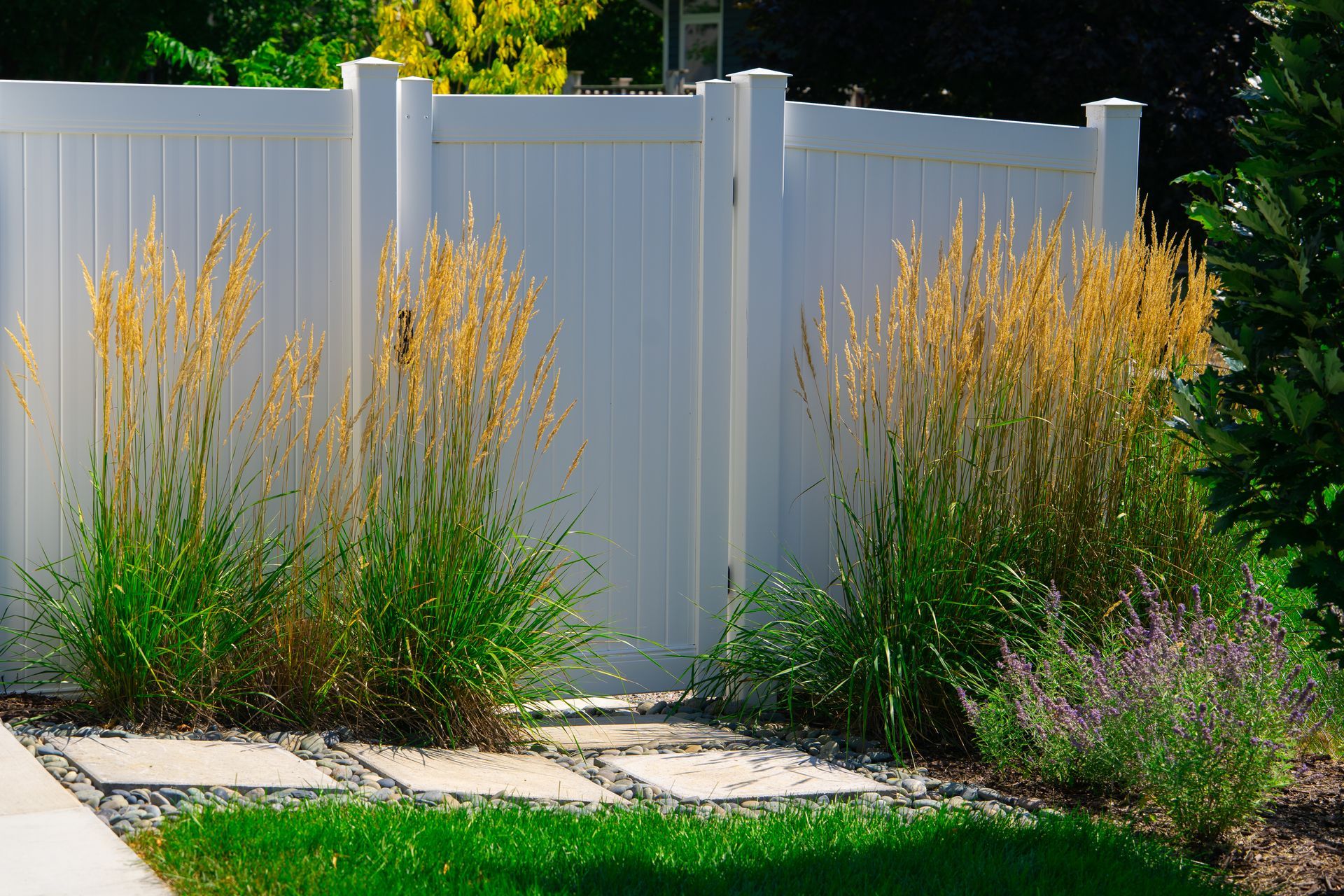 White fence with ornamental grasses and square stepping stones. Green lawn.
