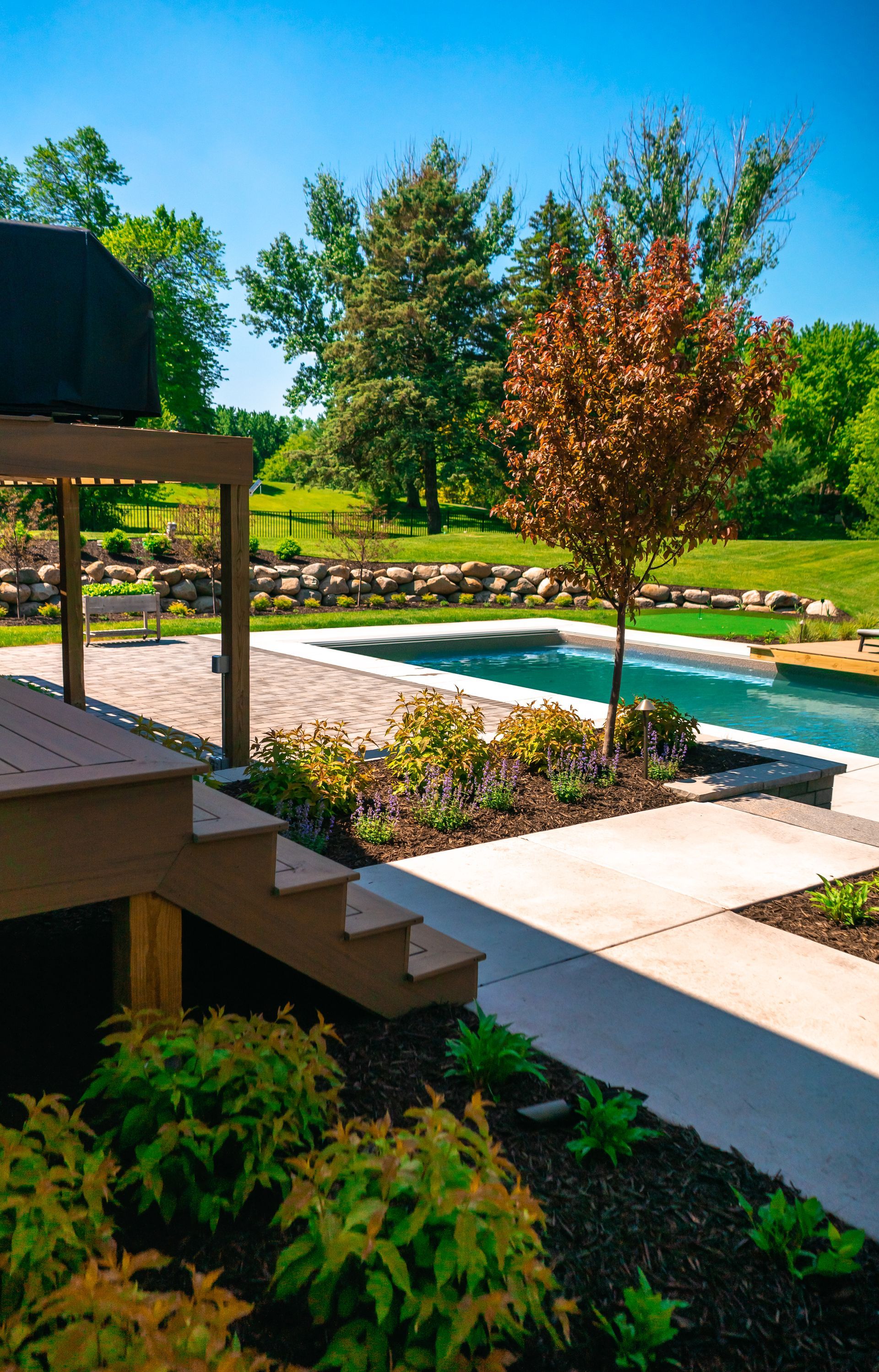 A view of a swimming pool from a pergola on a sunny day.