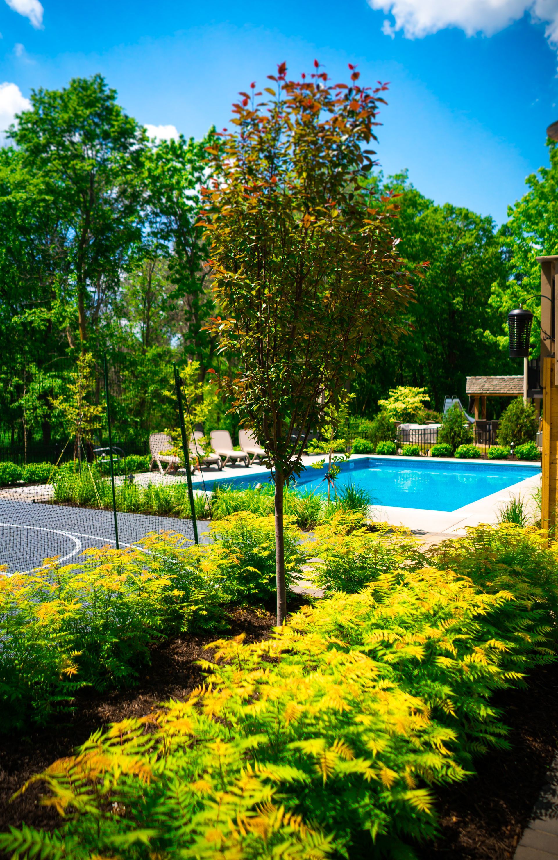 Custom Pool Design Lake Elmo MN