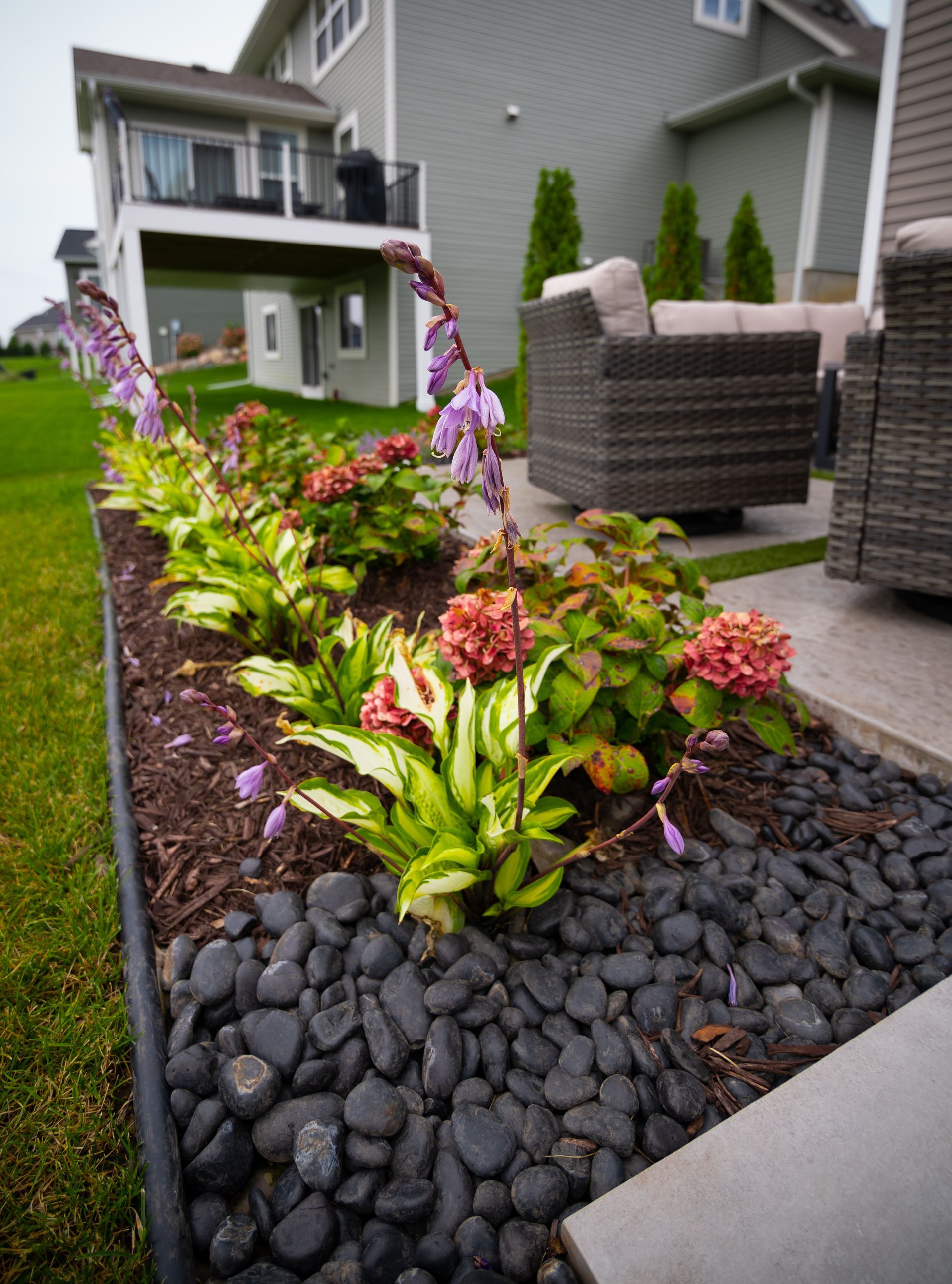 A garden with flowers and rocks in front of a house