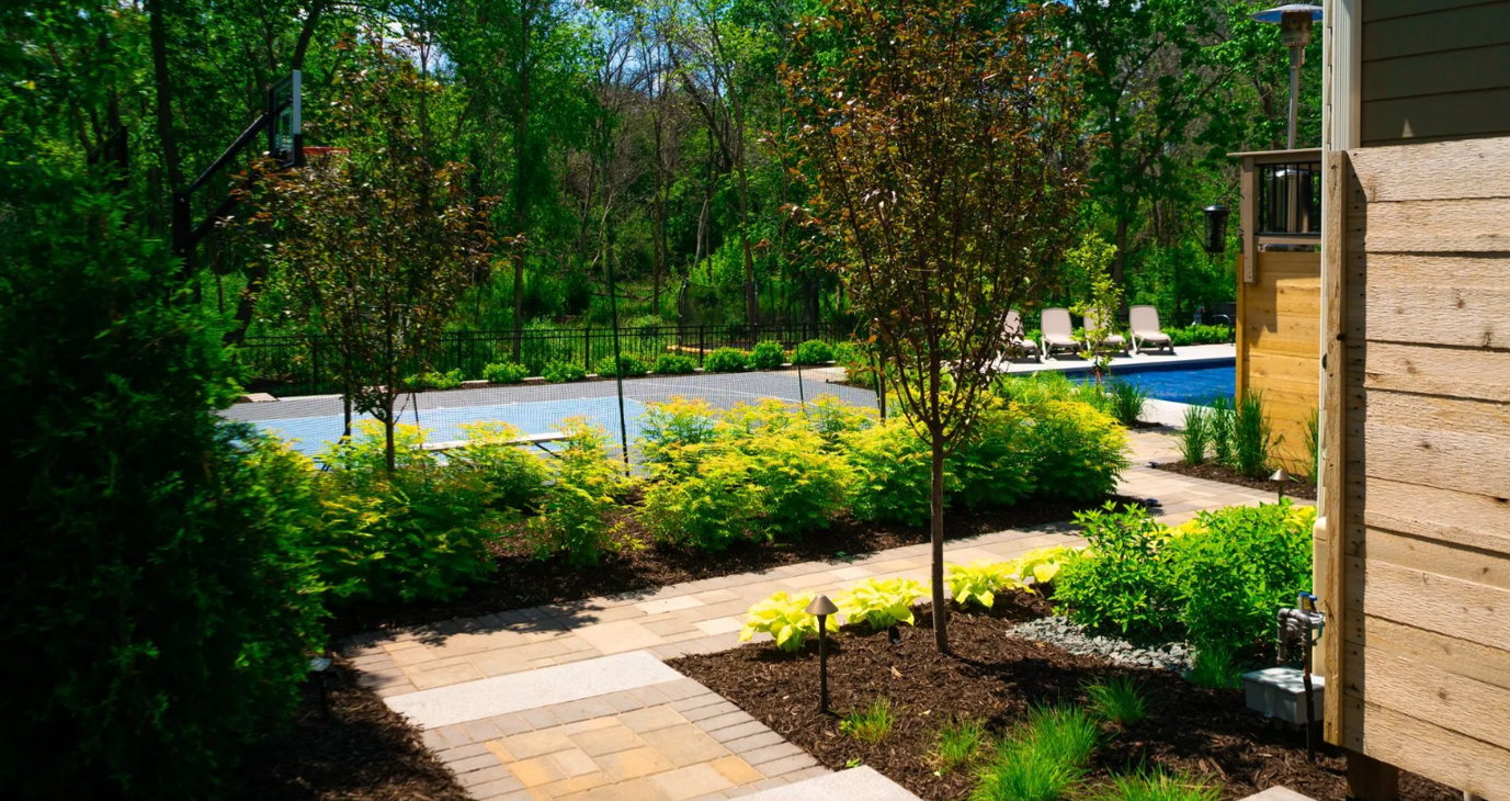 Landscaped backyard with stone path, shrubs, trees, and pool area in background.