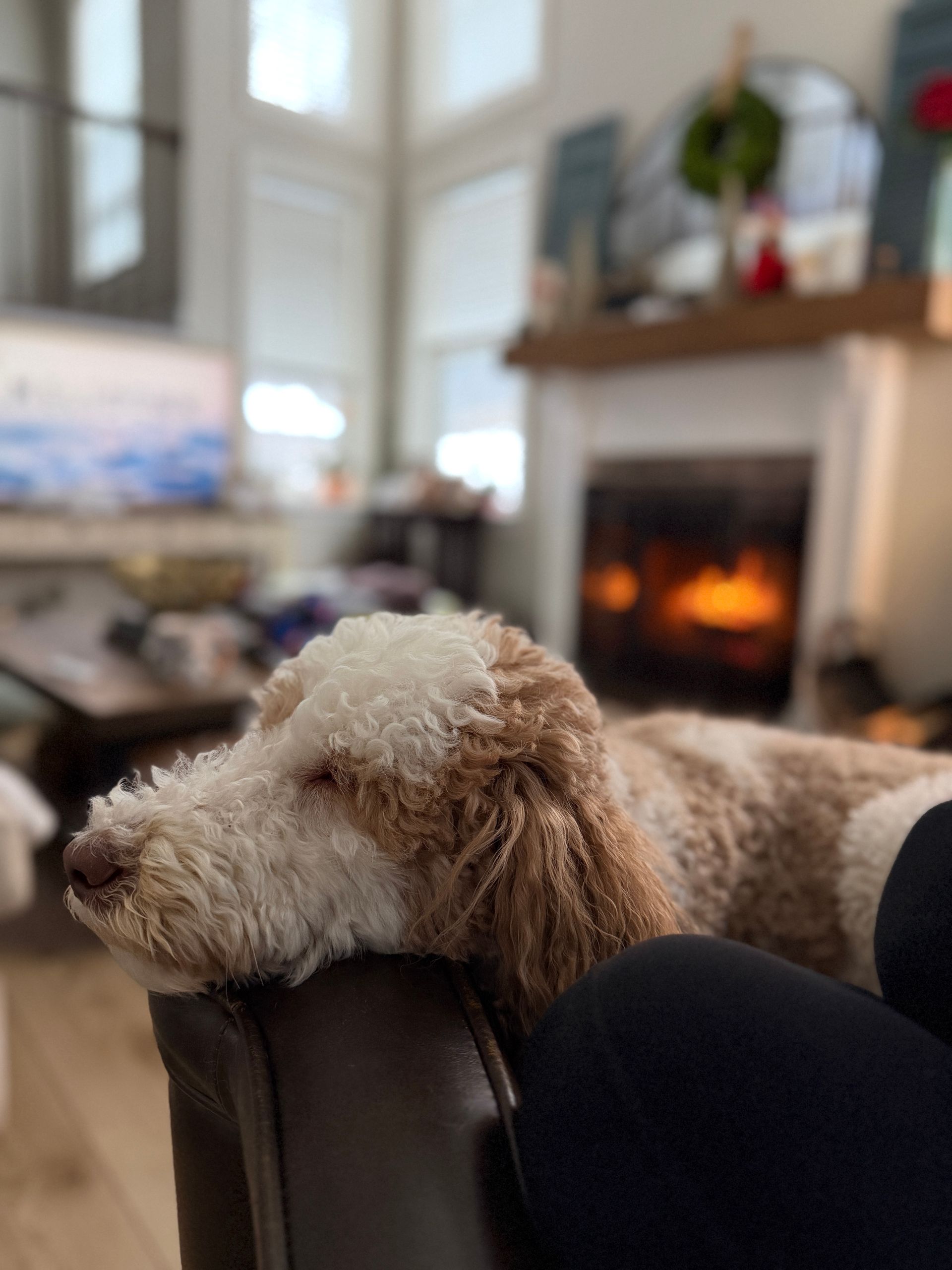 Fireplaces: The Cozy Feature That Makes East Coast Winters Better