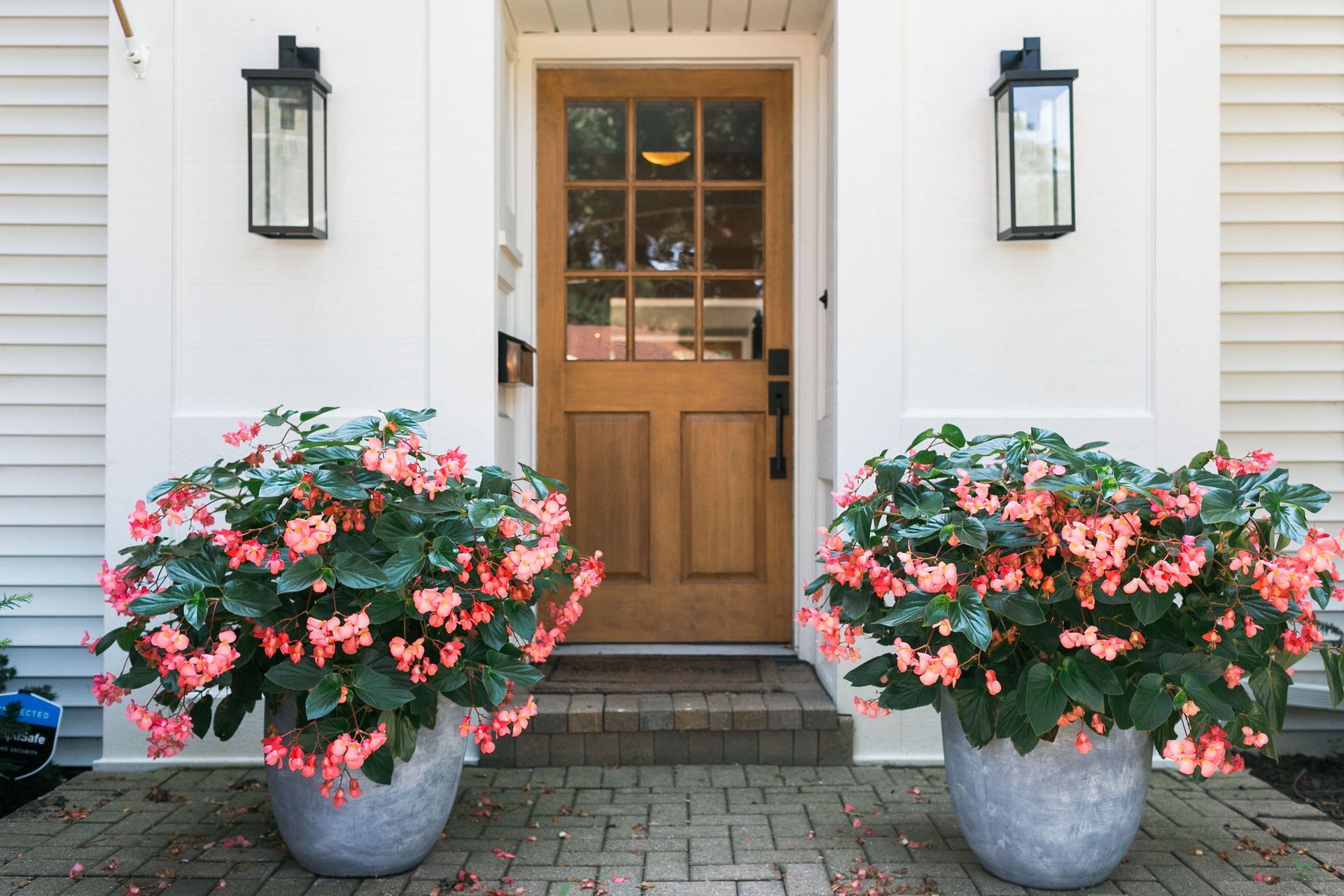 Two potted plants are in front of a house with a wooden door. Two potted plants are in front of a house with a wooden door.
