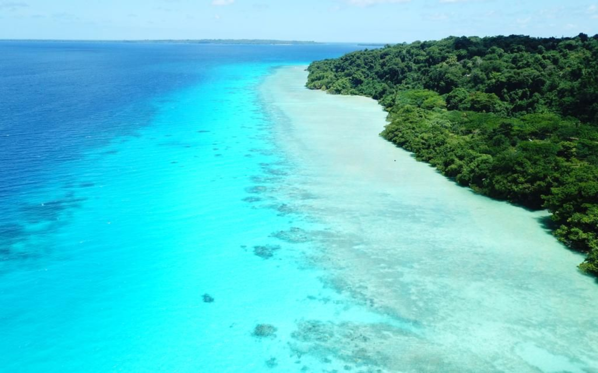 Vibrant turquoise ocean meeting a lighter aqua reef, bordering lush green forest on a Aore  island Vanuatu 