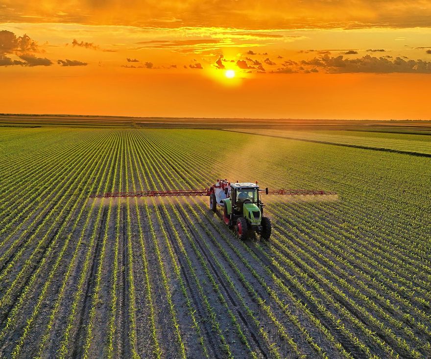 Lebel Agroconsultant à propos