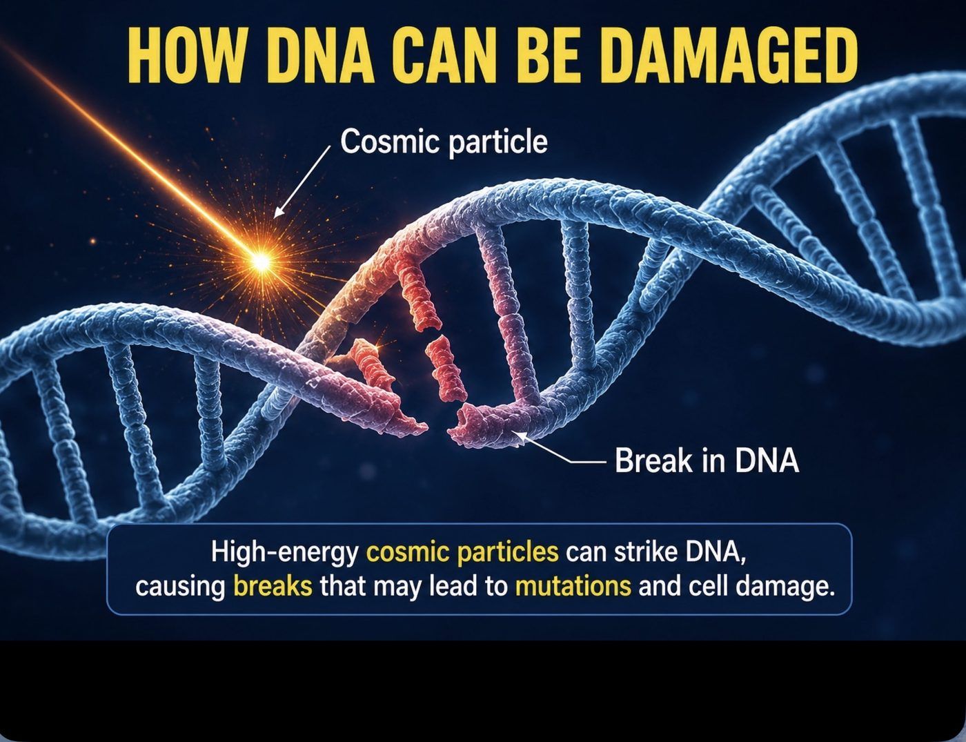 Diagram showing a high-energy cosmic particle striking a DNA strand and causing a break that can lead to mutations and cell damage