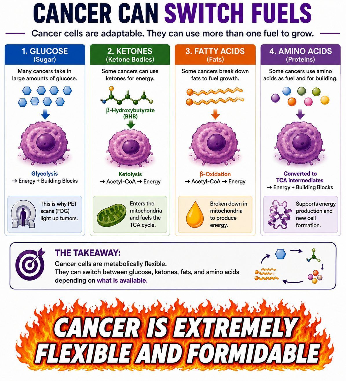 Infographic showing cancer can switch fuels between glucose, ketones, fatty acids and amino acids