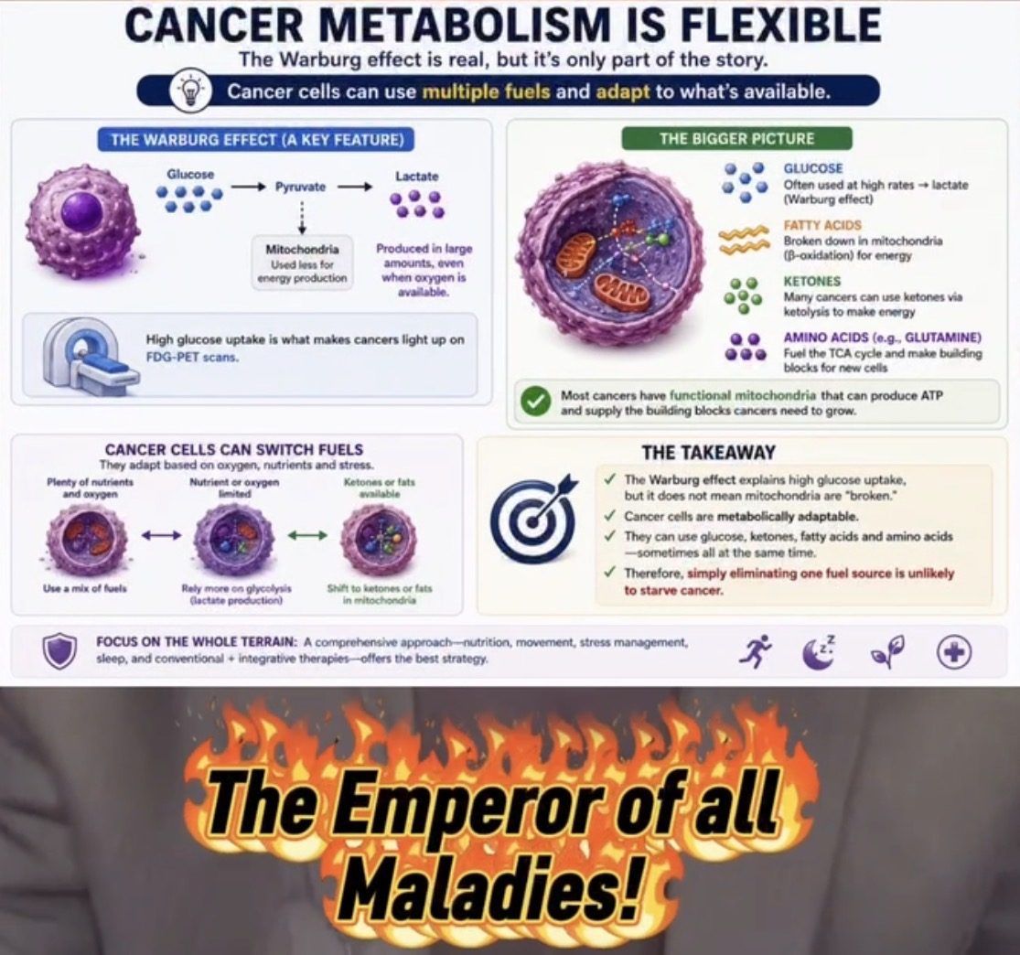 Infographic summarizing that cancer metabolism is flexible and eliminating one fuel source is unlikely to starve cancer