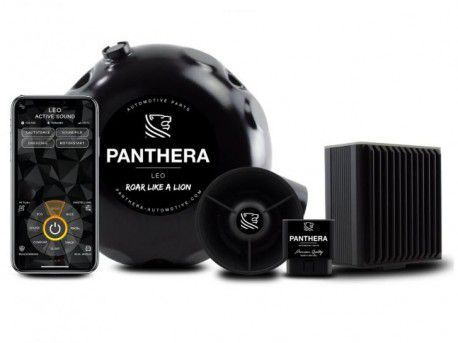 Panthera Leo Active Sound ASC 6.0 con altavoz delantero