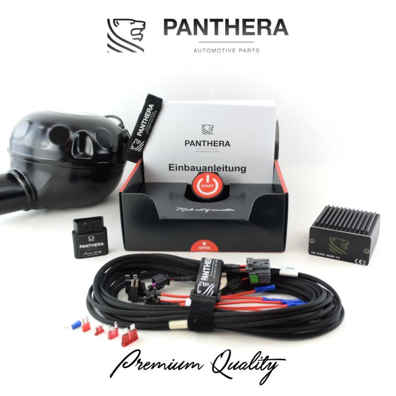 Panthera Leo Active Sound ASC 6.0