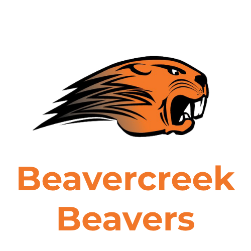 Beavercreek Beavers wheelchair basketball team. 