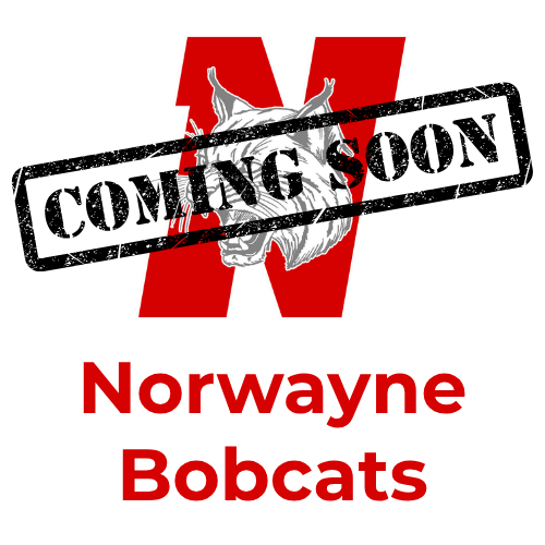 Norwayne Bobcats wheelchair basketball team. 