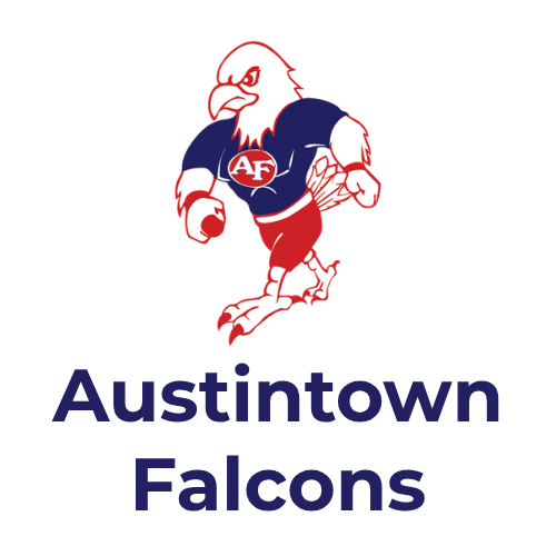 Austintown Falcons wheelchair basketball team. 