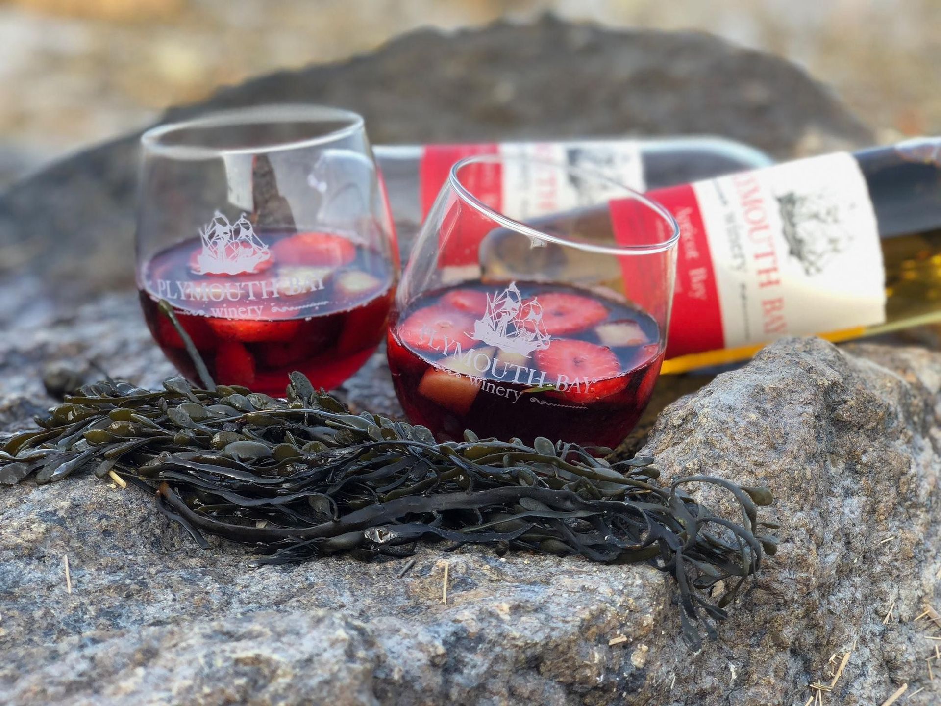 Two stemless wine glasses with fruit, bottle, seaweed on a rock.