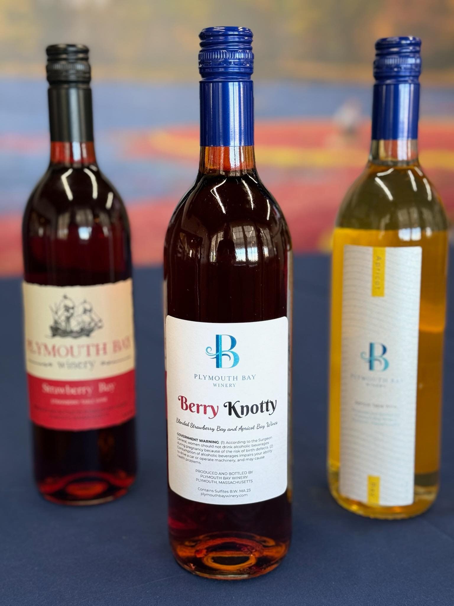 Three bottles of wine, red, red-violet and yellow-gold, with different labels, on a blue surface.