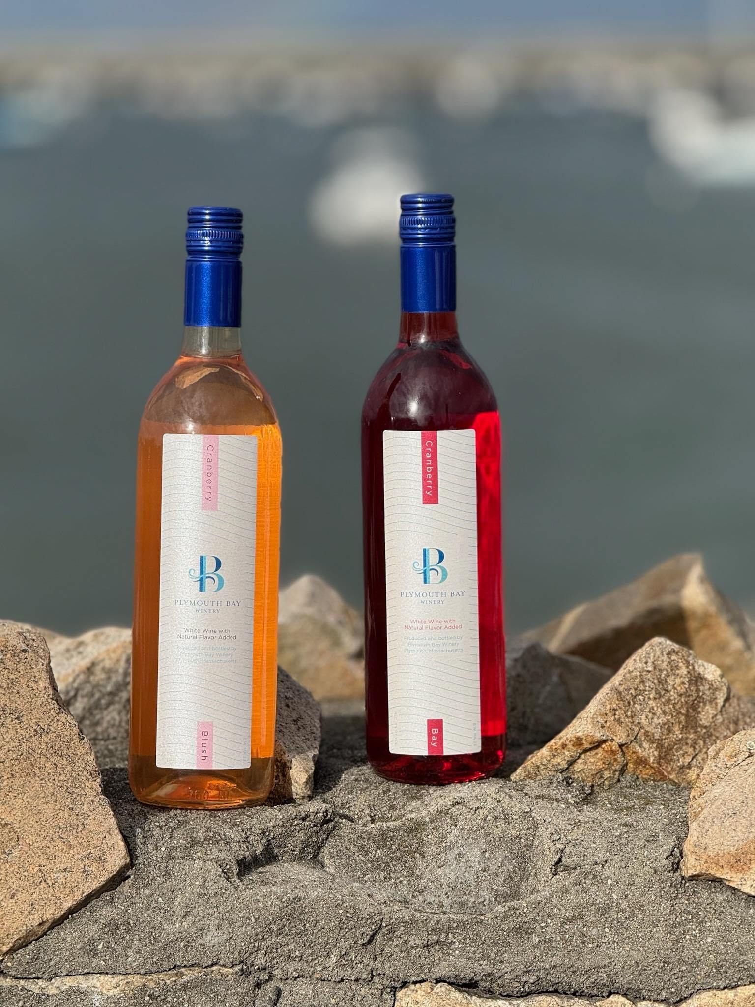 Two bottles of rosé wine on a rocky surface, with the ocean in the background.