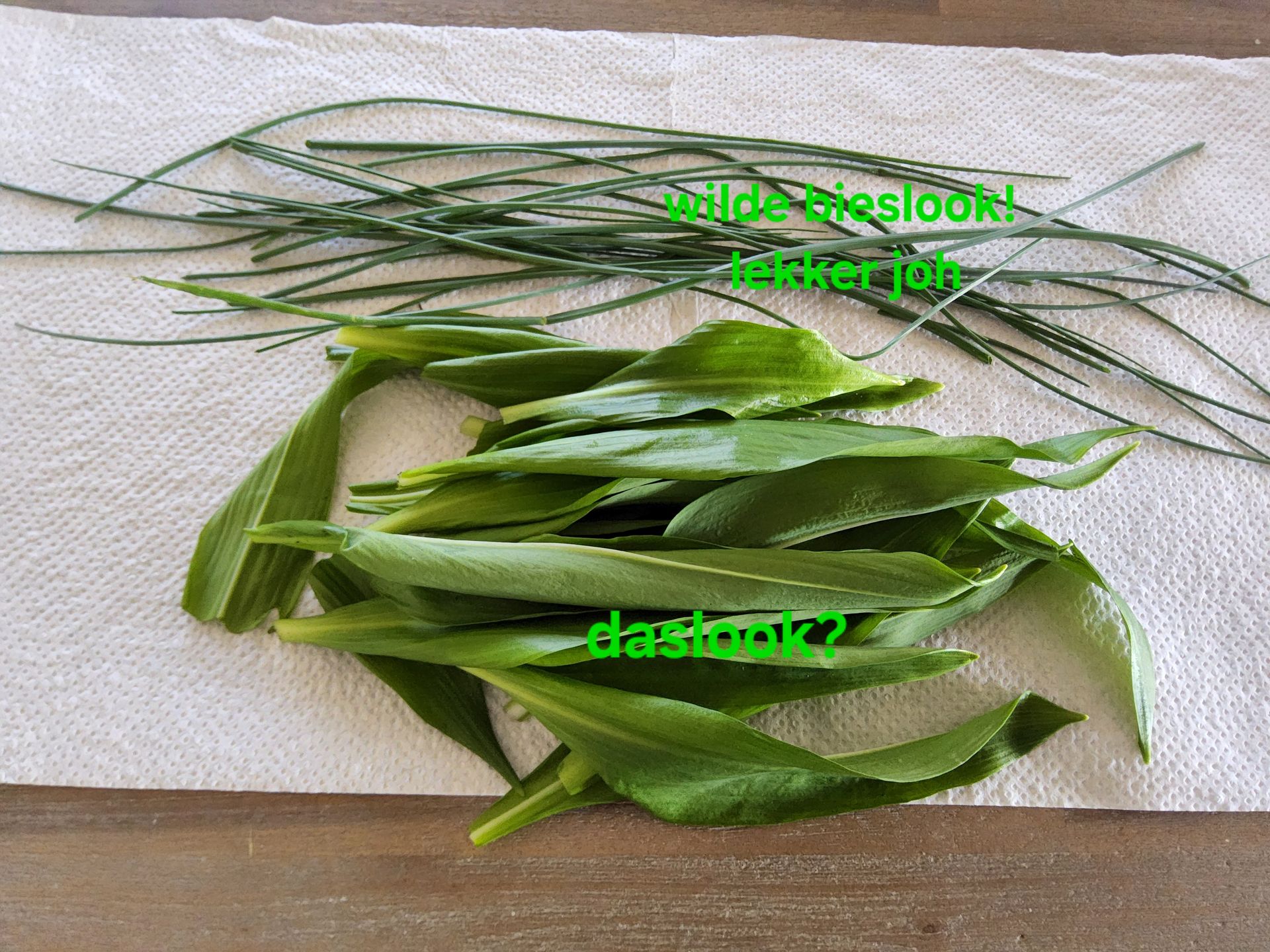Groene wilde knoflook en bieslook op een wit keukenpapiertje.