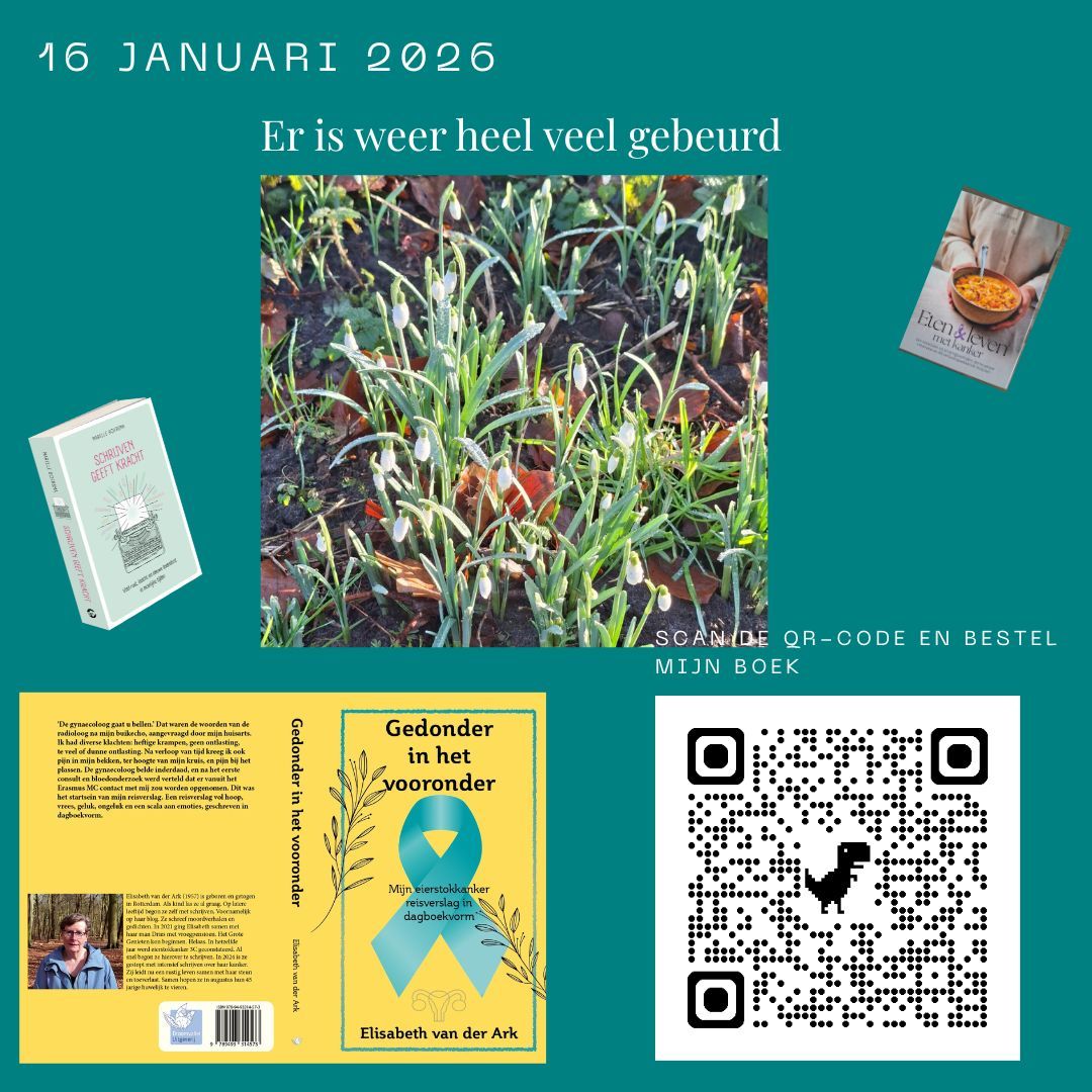 Heb jij mijn boek al besteld? Doen hoor... Afbeelding met sneeuwklokjes, boekomslagen, tekst en een QR-code tegen een groene achtergrond.